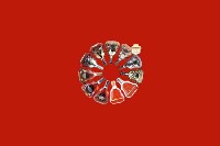 临沂费县回收红酒
